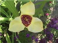 ef4a4203-Picture 004.jpg